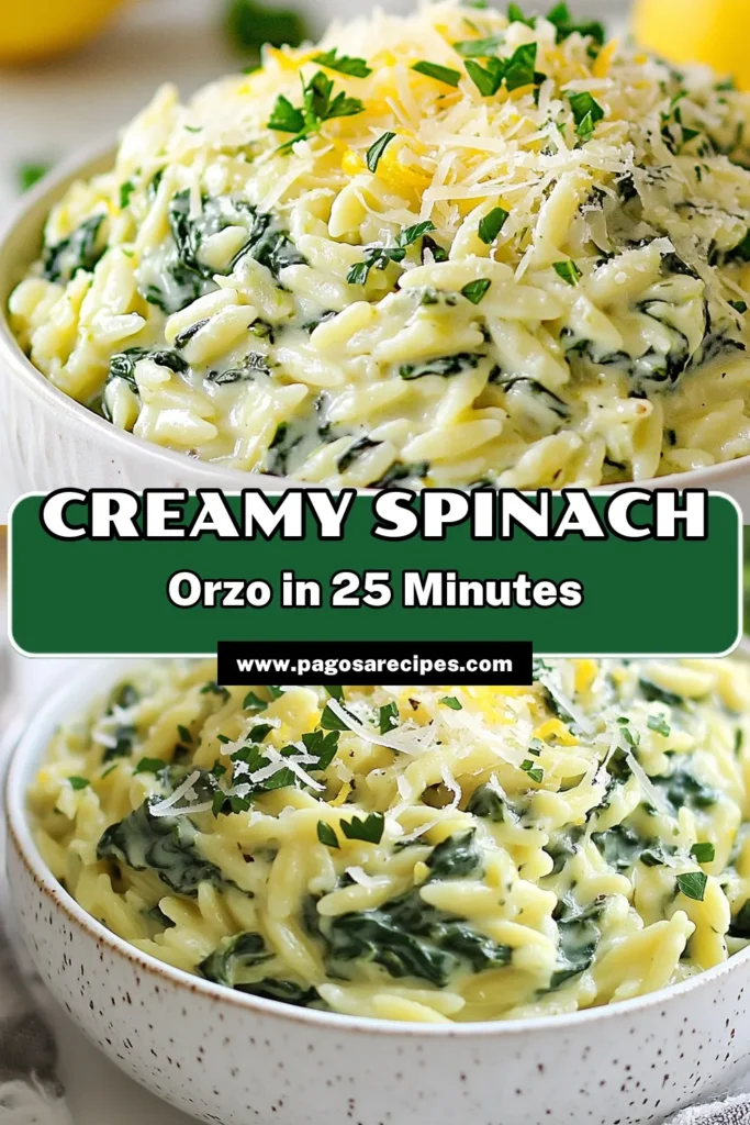 Looking for a delicious and simple vegetarian orzo pasta dish? Try this creamy spinach orzo recipe! This easy creamy pasta recipe features tender orzo, fresh spinach, and rich Parmesan for a satisfying one-pot meal. Perfect for busy weeknights, it comes together in just 25 minutes. Save this spinach orzo with Parmesan for your next dinner idea! #CreamySpinachOrzo #VegetarianOrzo #EasyPastaRecipes #OnePotMeals